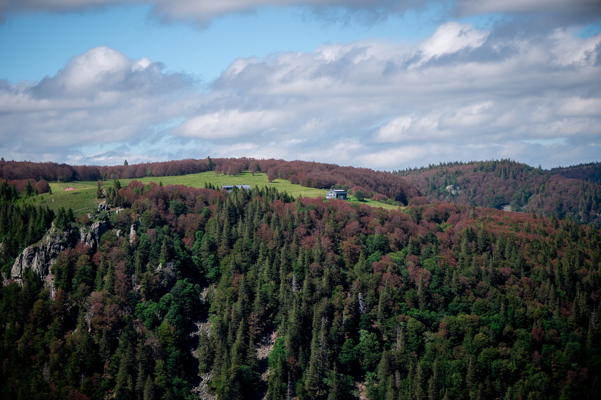 TrekHohneckP1330659-min